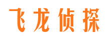 沙市找人公司